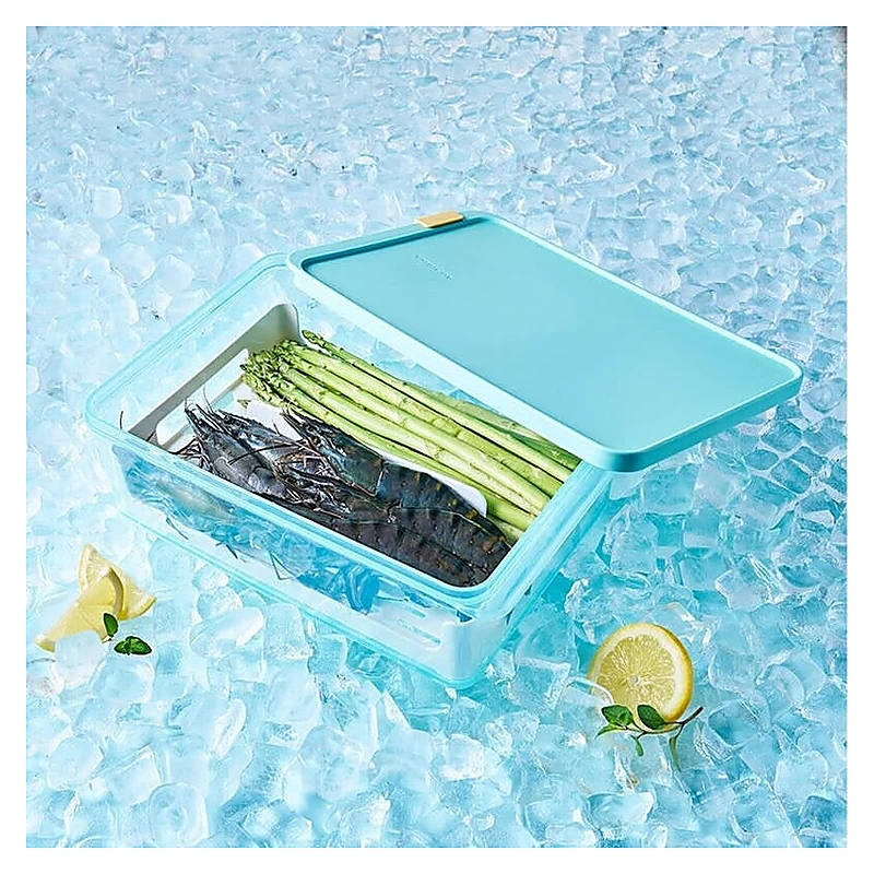 Hộp Trữ Đông Thực Phẩm Freezer Fit LocknLock 3.5L - Kèm Khay Chia Ngăn - HFL106DR